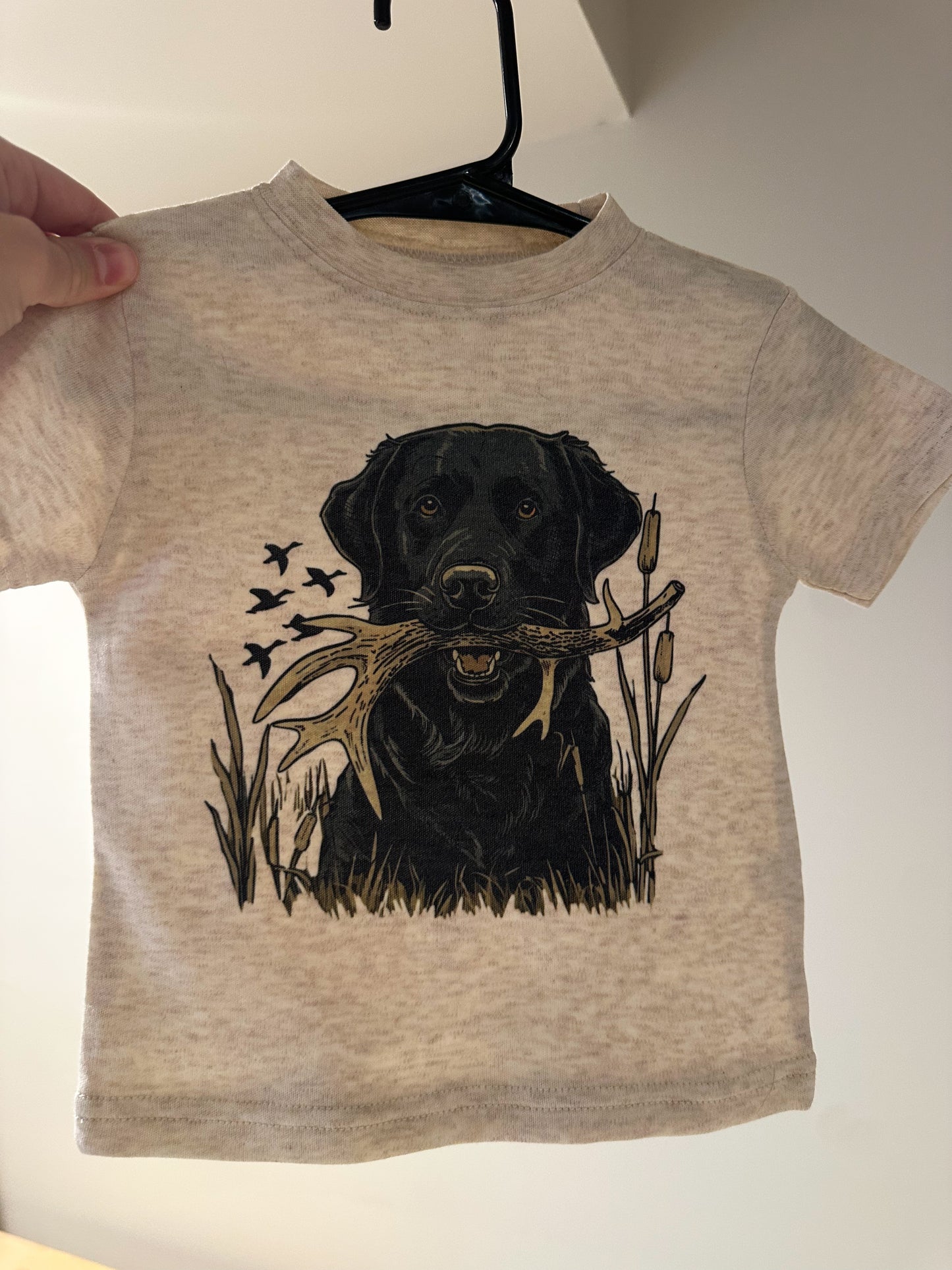 Black Lab Antler