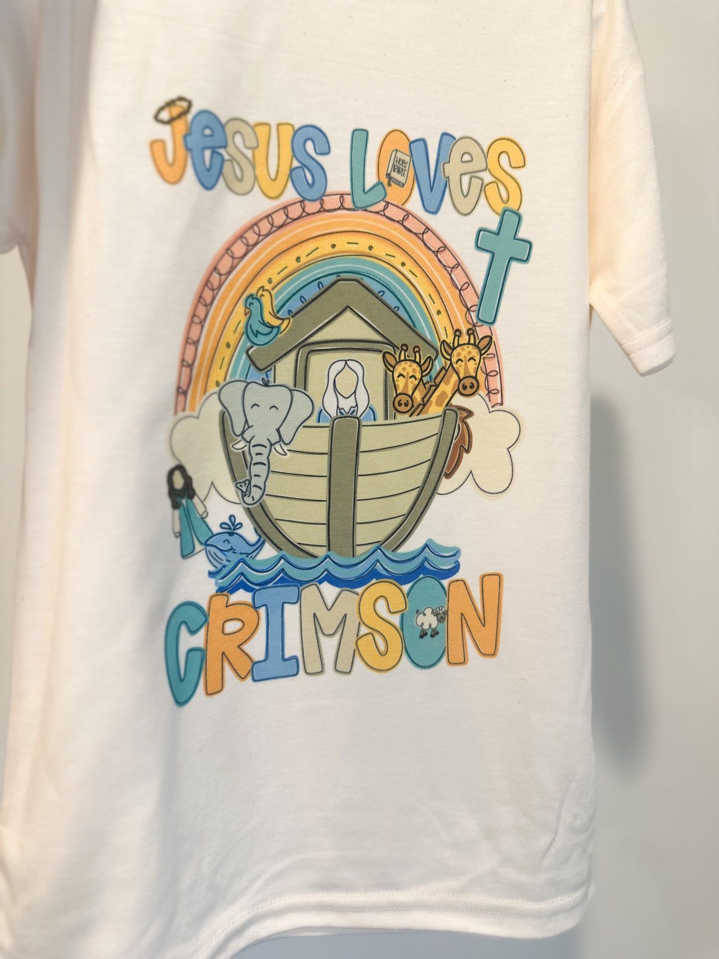 Custom BOY Jesus Loves Ark