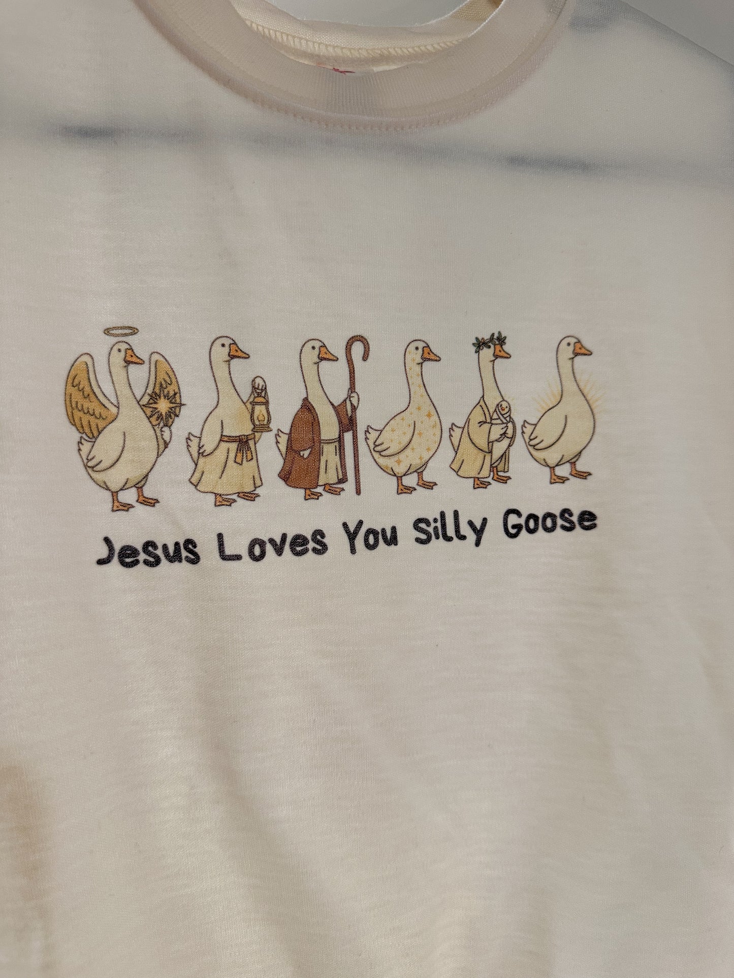 Jesus Loves You Silly Goose