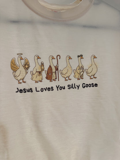 Jesus Loves You Silly Goose